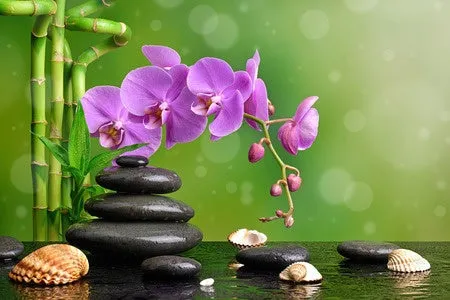 24 CE FL LMT Renewal Home Study Package: Hot Stone Massage Workshop with Medical Massage Training Elective