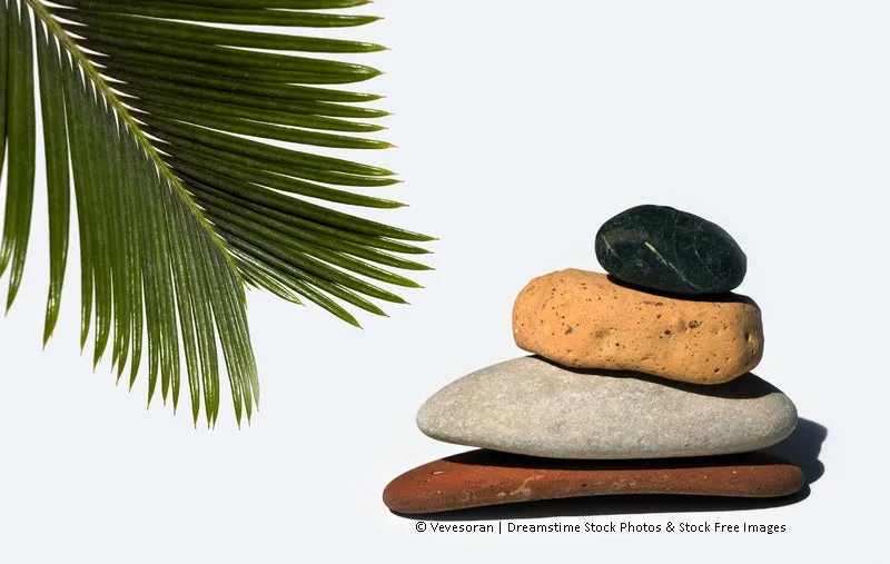 24 CE FL LMT Renewal Home Study Package: Hot Stone Massage Workshop with Medical Massage Training Elective