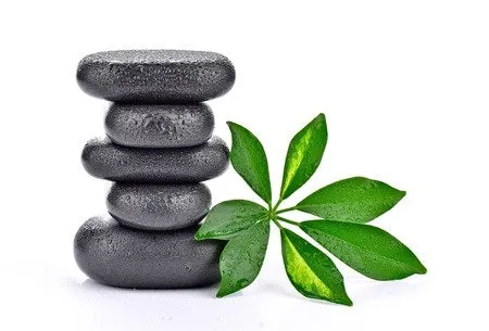 24 CE FL LMT Renewal Home Study Package: Hot Stone Massage Workshop with Medical Massage Training Elective