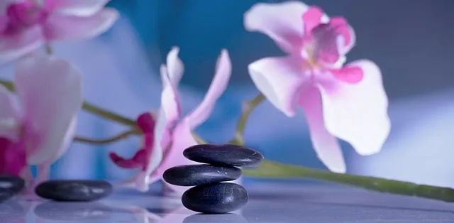 24 CE FL LMT Renewal Home Study Package: Hot Stone Massage Workshop with Medical Massage Training Elective