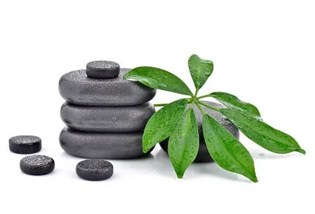 24 CE FL LMT Renewal Home Study Package: Hot Stone Massage Workshop with Medical Massage Training Elective