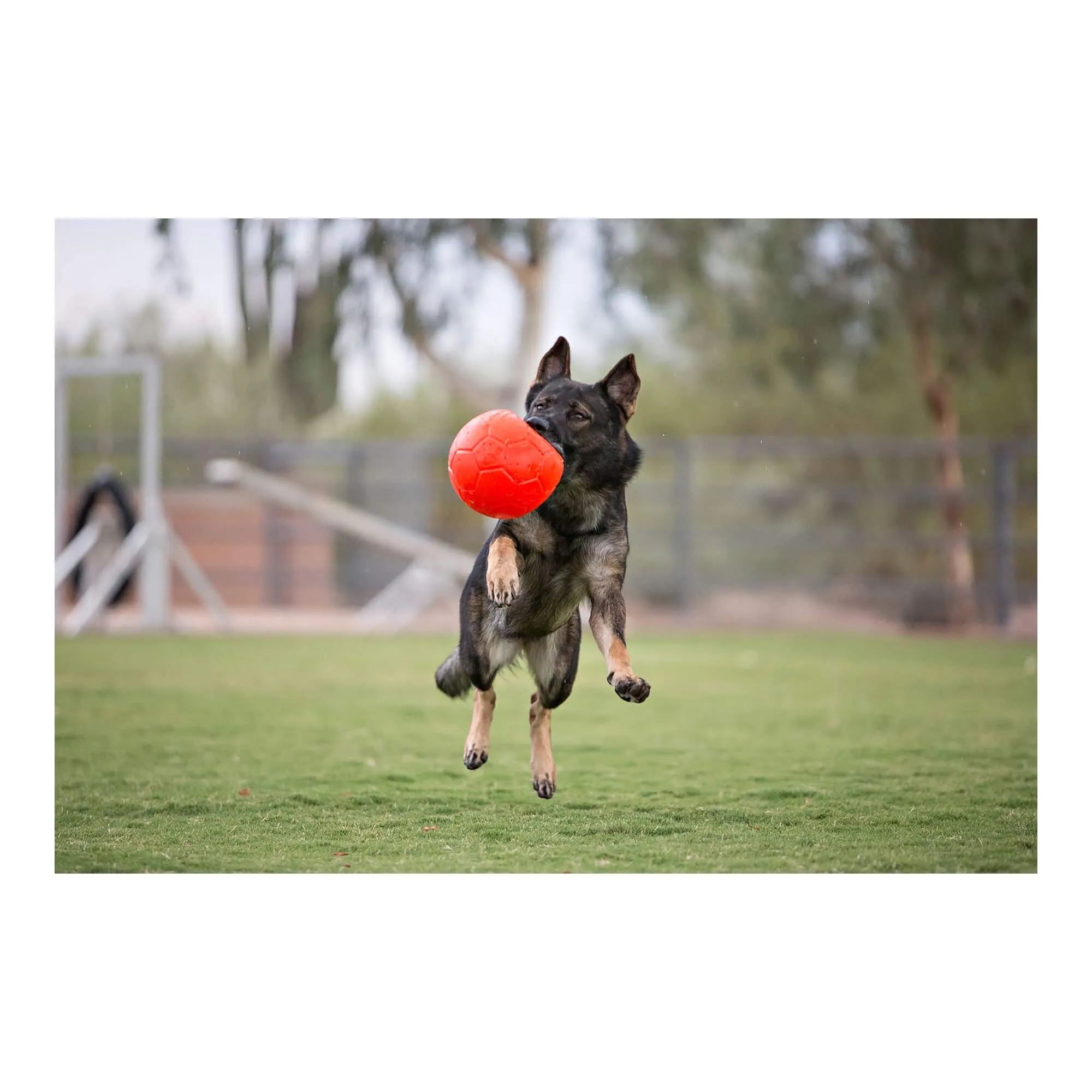 8" Jolly Soccer Ball