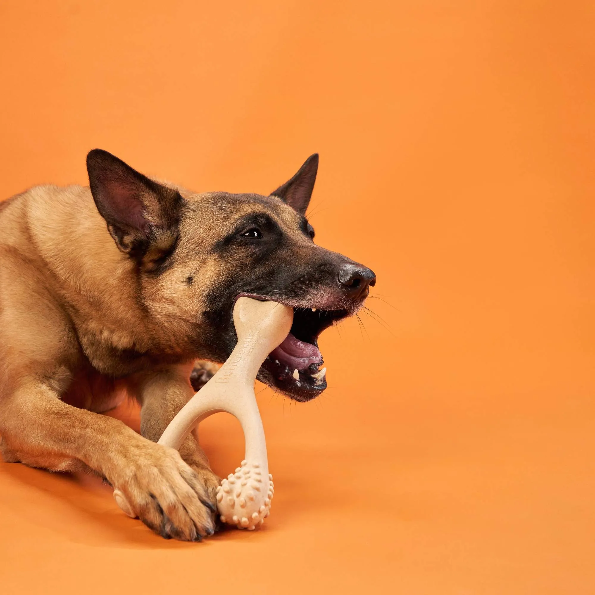 BetterBone HARD: The natural, eco-friendly, and ultra-durable chew for the toughest chewers!