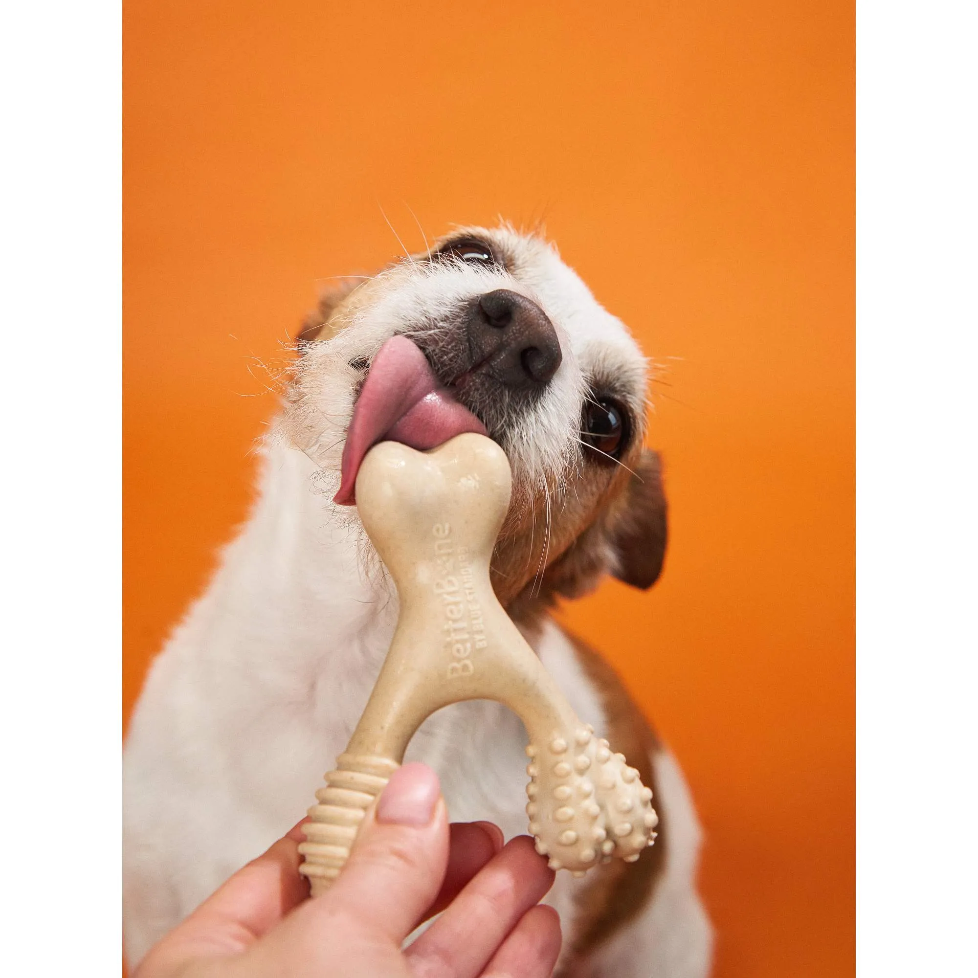 BetterBone HARD: The natural, eco-friendly, and ultra-durable chew for the toughest chewers!