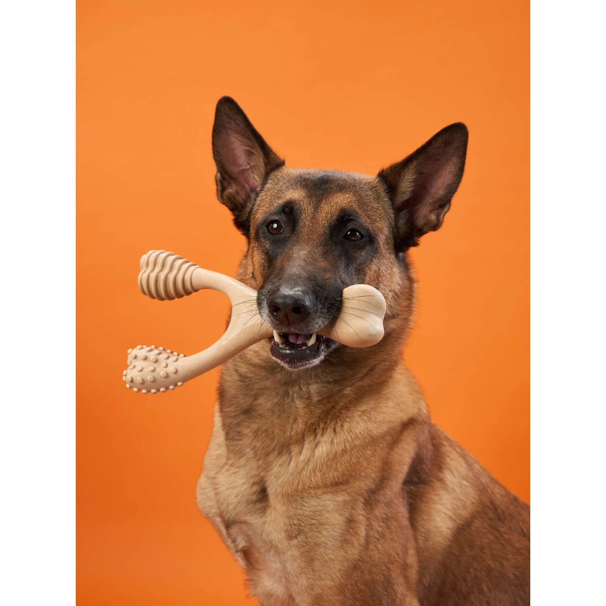 BetterBone HARD: The natural, eco-friendly, and ultra-durable chew for the toughest chewers!