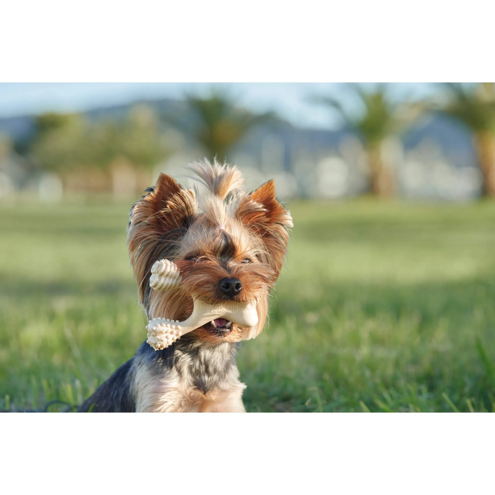 BetterBone HARD: The natural, eco-friendly, and ultra-durable chew for the toughest chewers!