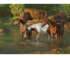 Cobble Hill Horse Pond 500 Piece Puzzle