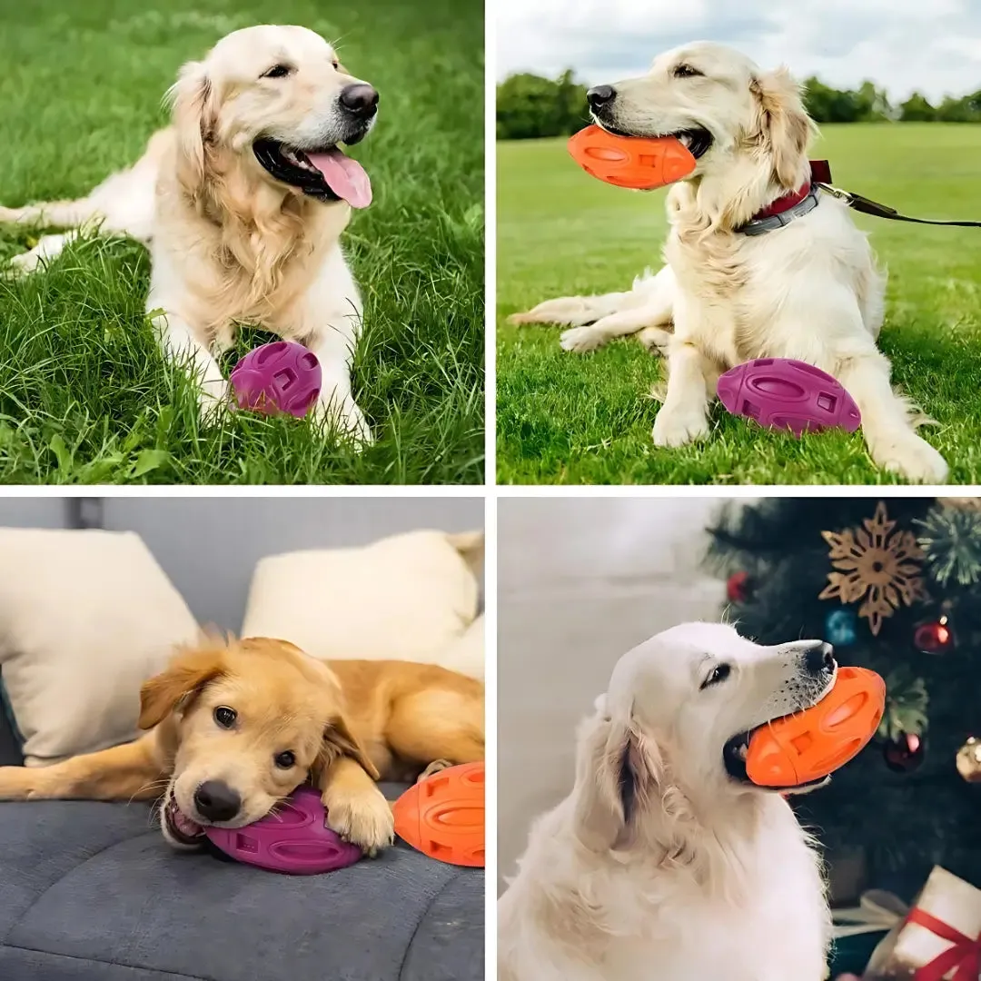 Durable Squeaky Dog Toy for Aggressive Chewers