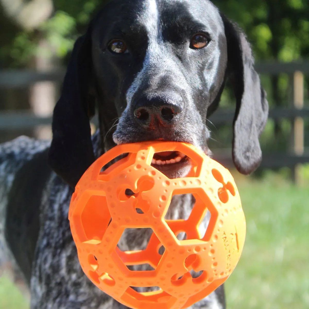 Fetch Dog Toy: Goat Sport Flex-a-Ball