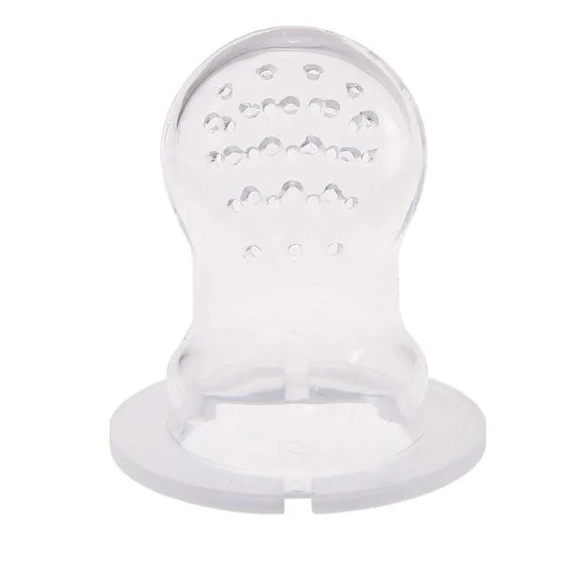 Fresh Fruit Baby Pacifier and Food Feeder