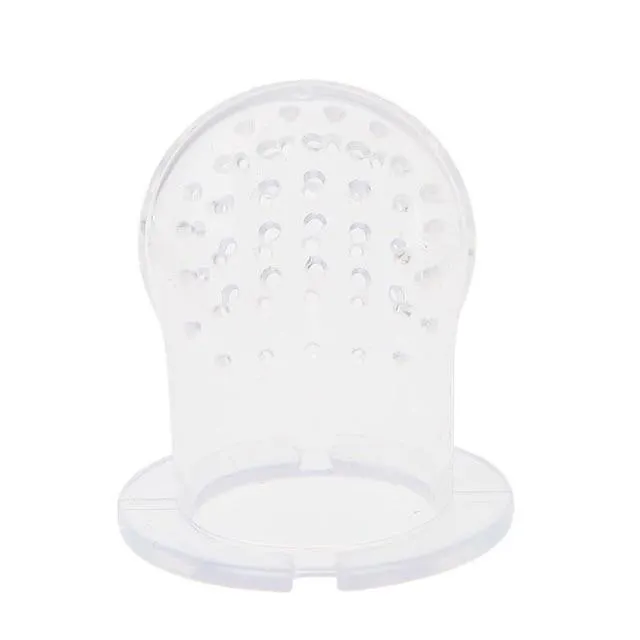 Fresh Fruit Baby Pacifier and Food Feeder