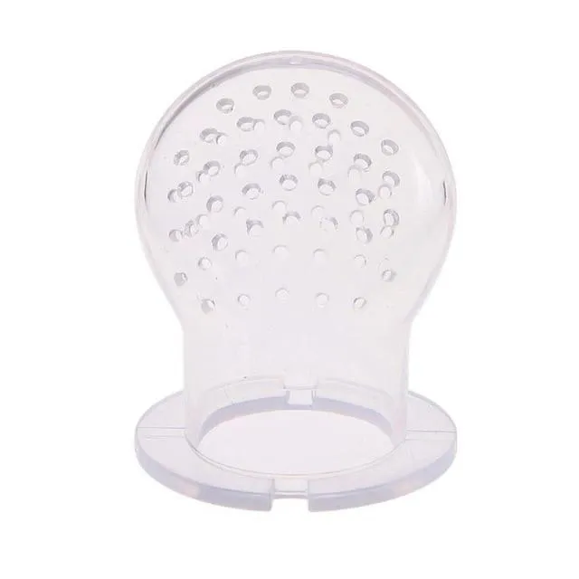 Fresh Fruit Baby Pacifier and Food Feeder