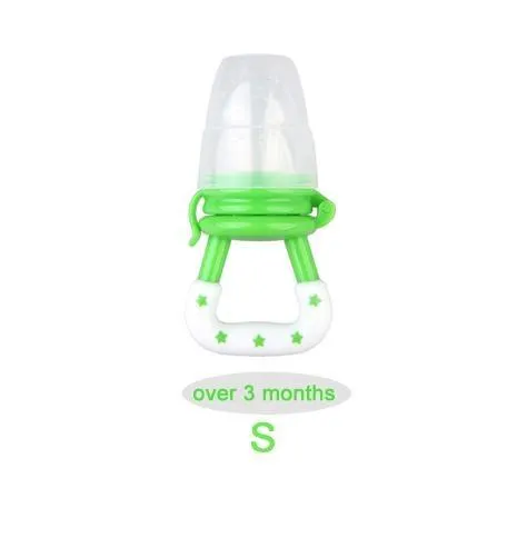 Fresh Fruit Baby Pacifier and Food Feeder