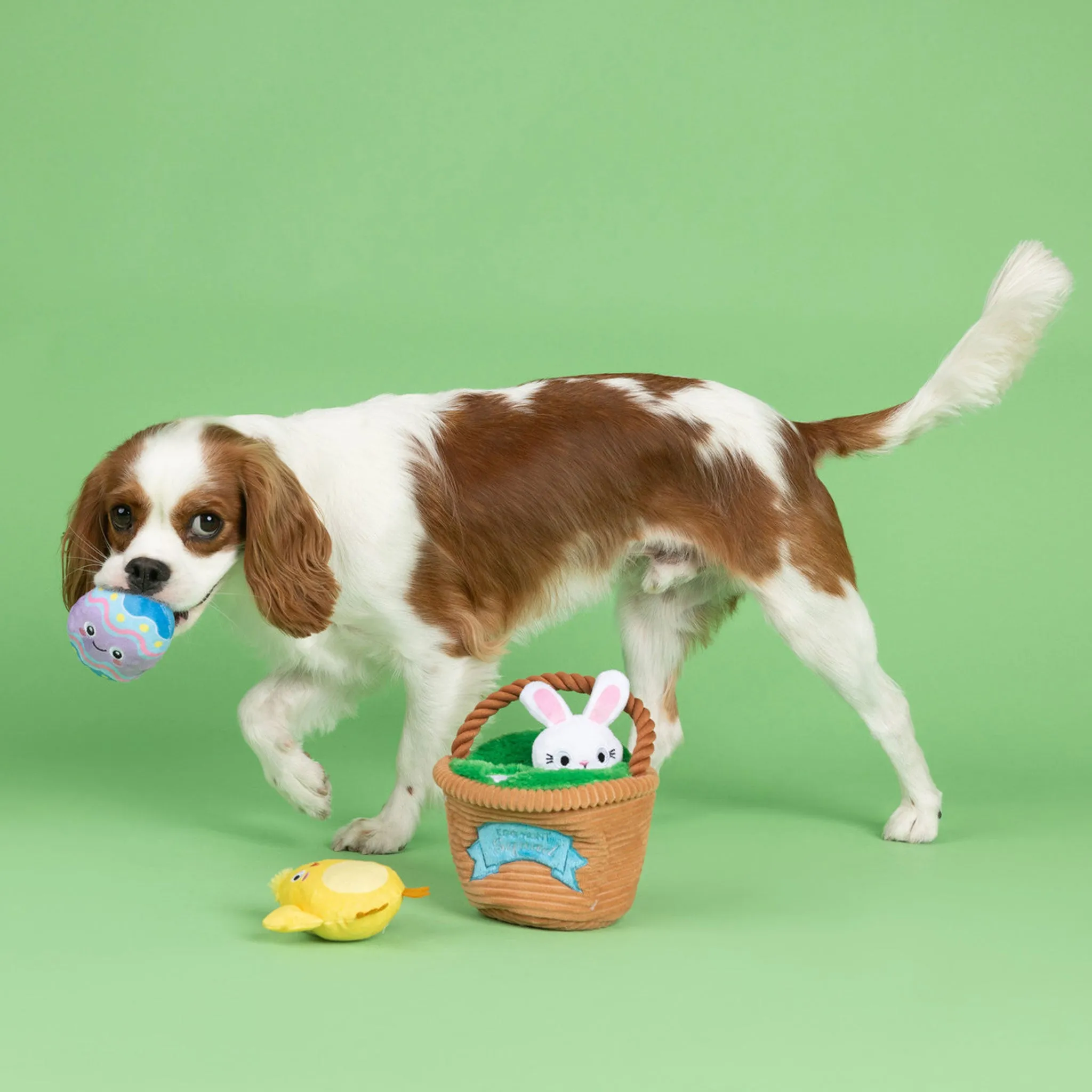 Fringe Egg Hunt Burrow Dog Toy Set - 4 Pack