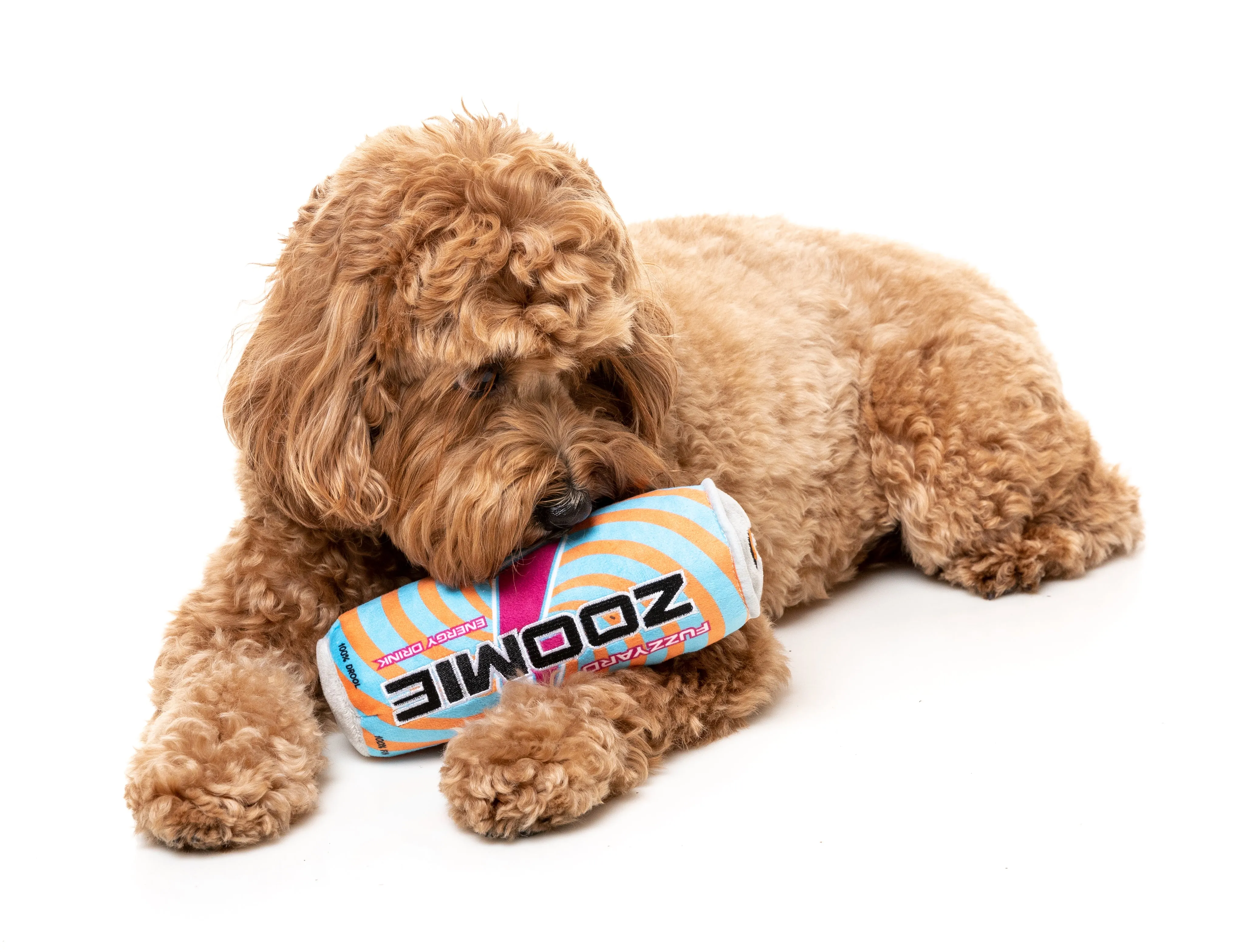 FuzzYard Squeaky Plush Dog Toy (Zoomie Energy Drink)