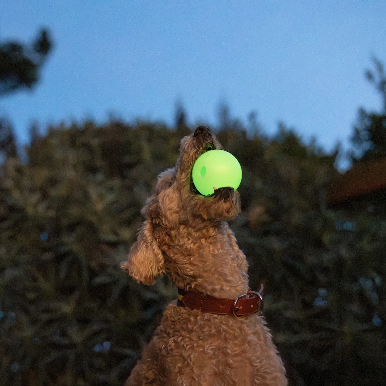 Glow In The Dark Fetch Ball 2-Pack