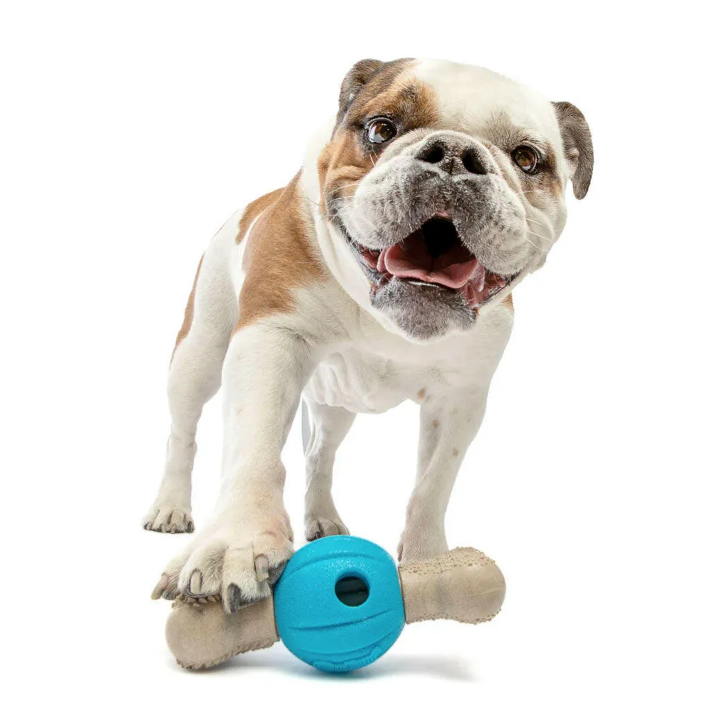 GURU Spin & Chew Bone Dog Toy Bacon, Medium