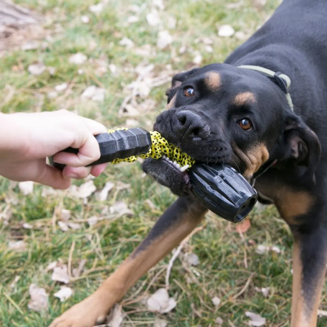 KONG Jaxx Braided Tug Tough Dog Toy