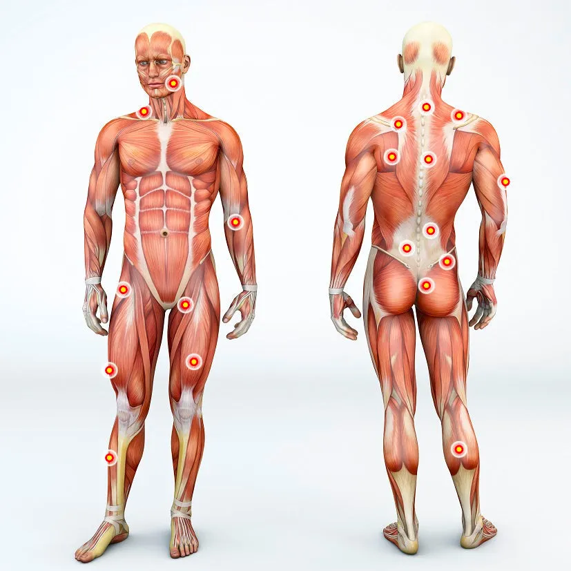 LIVE IN-PERSON CLASS 12 CE Hour Myofascial & Neuromuscular Therapy