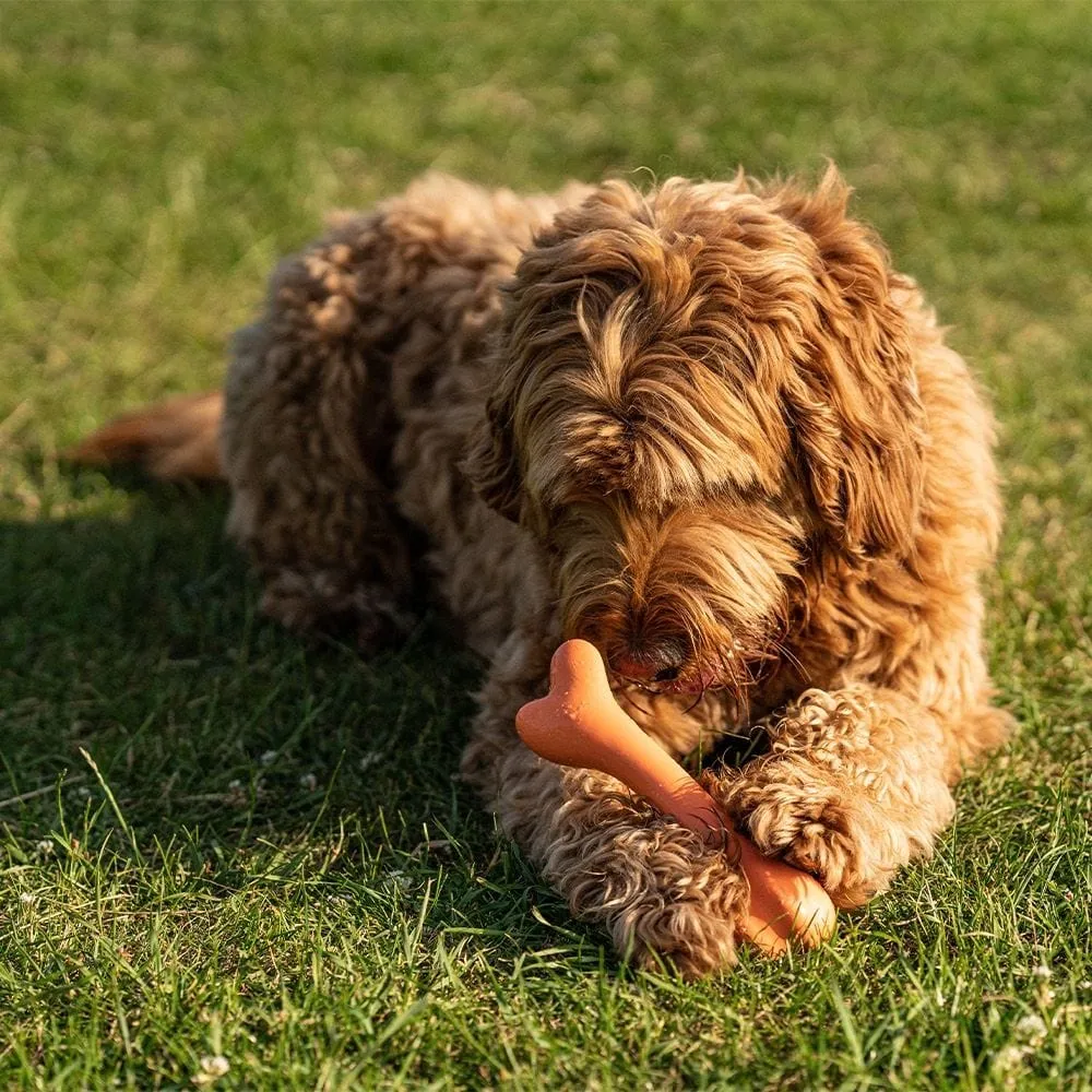 Natural Rubber Bone | Durable, Bouncy & Fun for Active Dogs