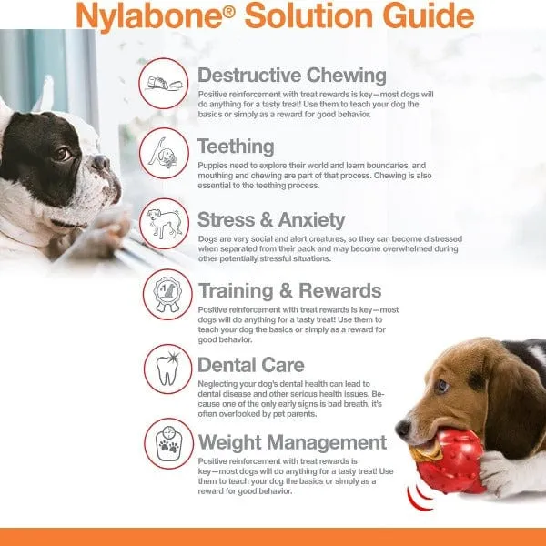 Nylabone Durachew Double Action Chew