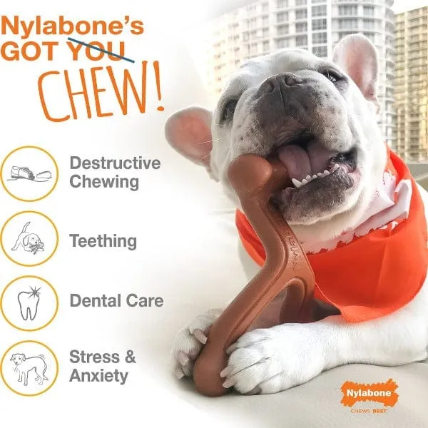 Nylabone Power Chew Action Ridges Chew Toy