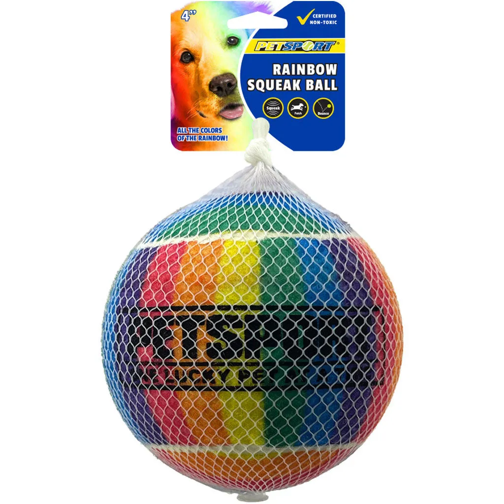 Petsport USA Rainbow Squeak Ball Dog Toy