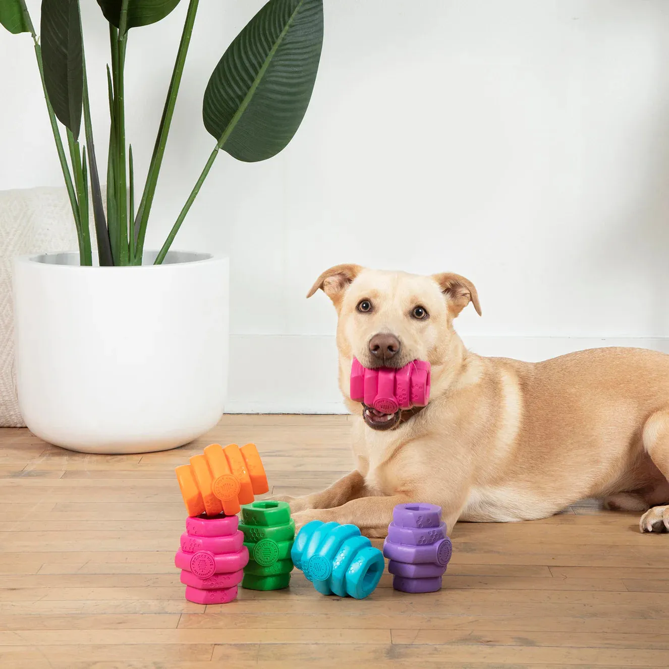 Project Hive - Hive Chew Toy - Wild Berry Scent (For Dogs)