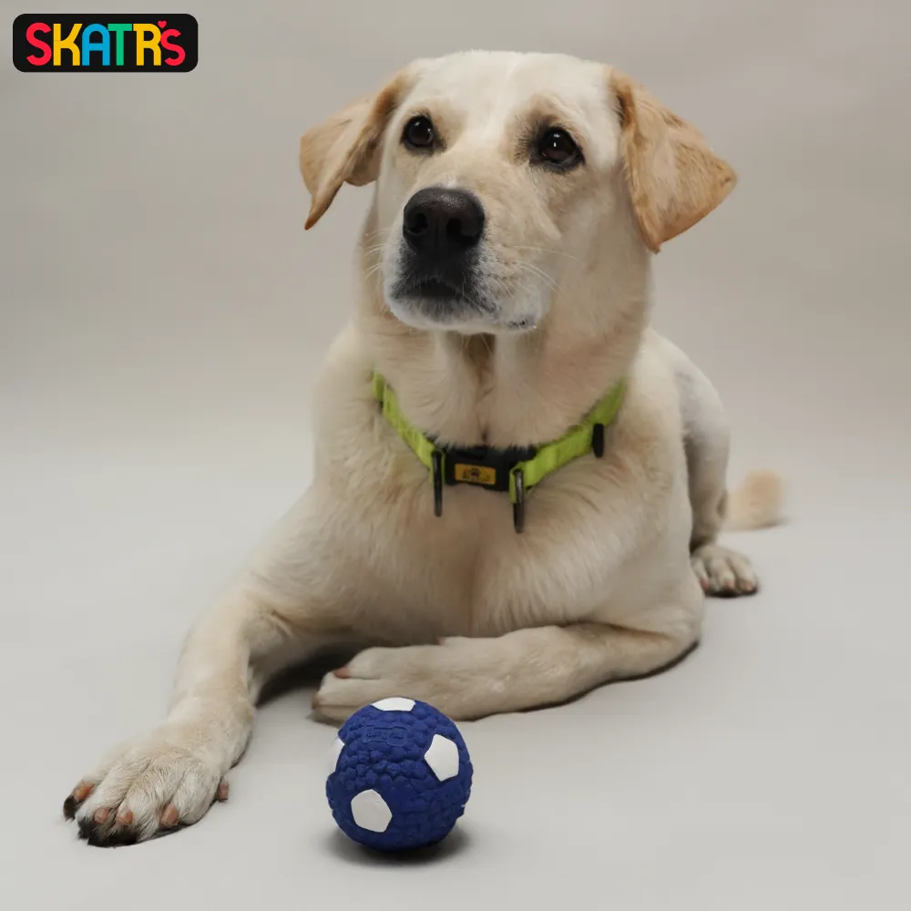 Skatrs Latex Football Toy for Dogs and Cats (Blue & White)