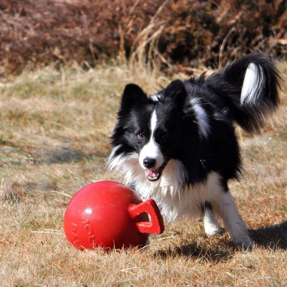 Tug-n-Toss Jolly Ball Dog Toy