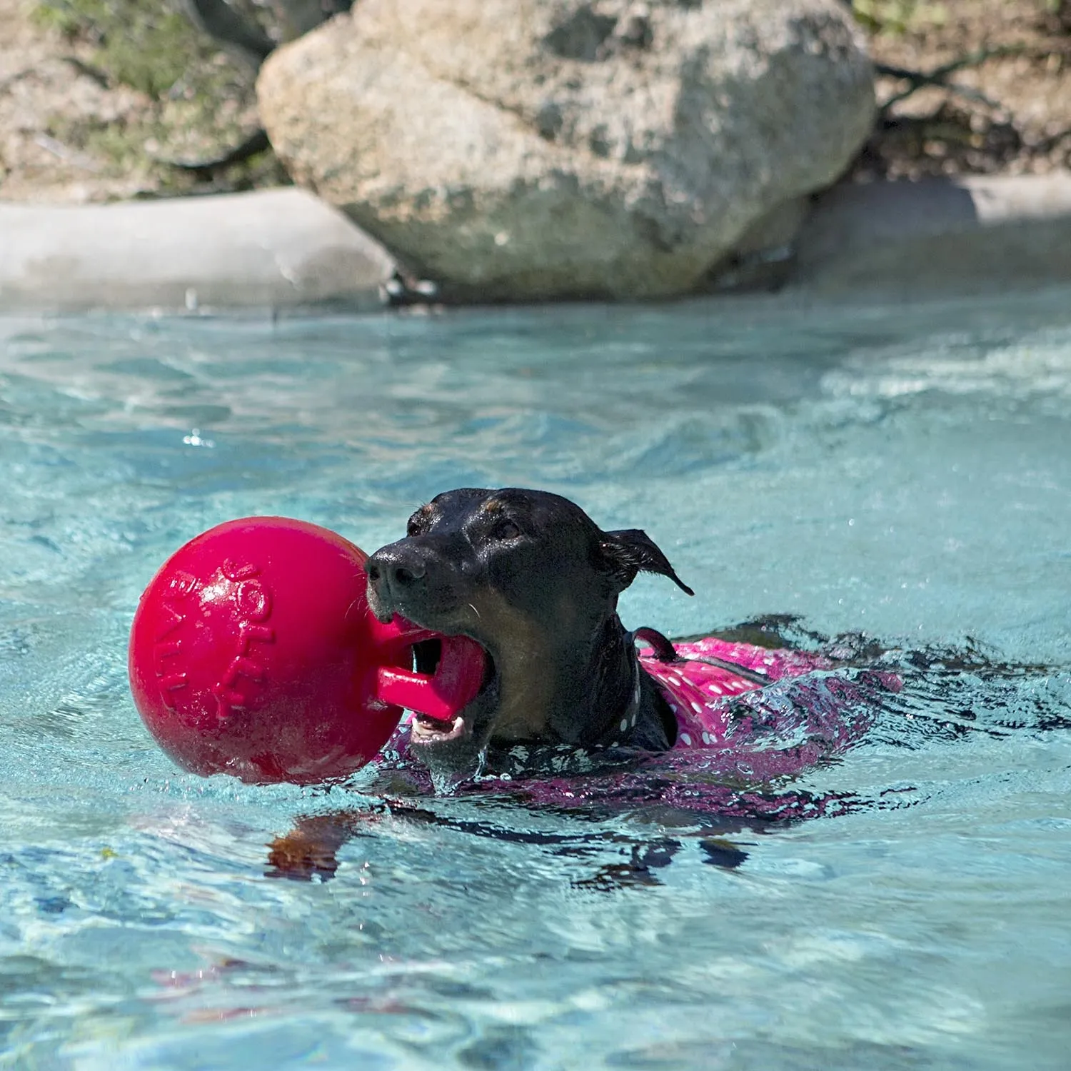 Tug-n-Toss Jolly Ball Dog Toy