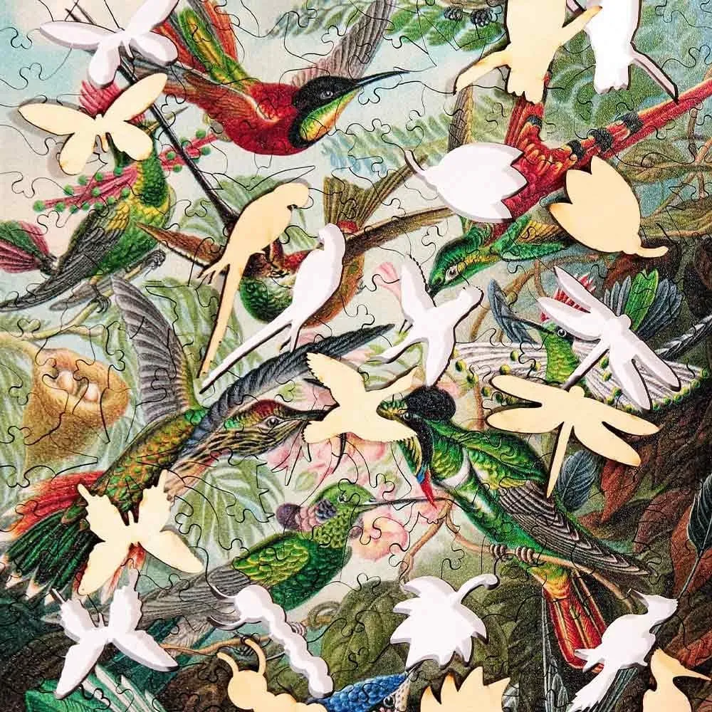 Twigg Jigsaw Puzzles Ernst Haeckel Hummingbirds - 228 Piece