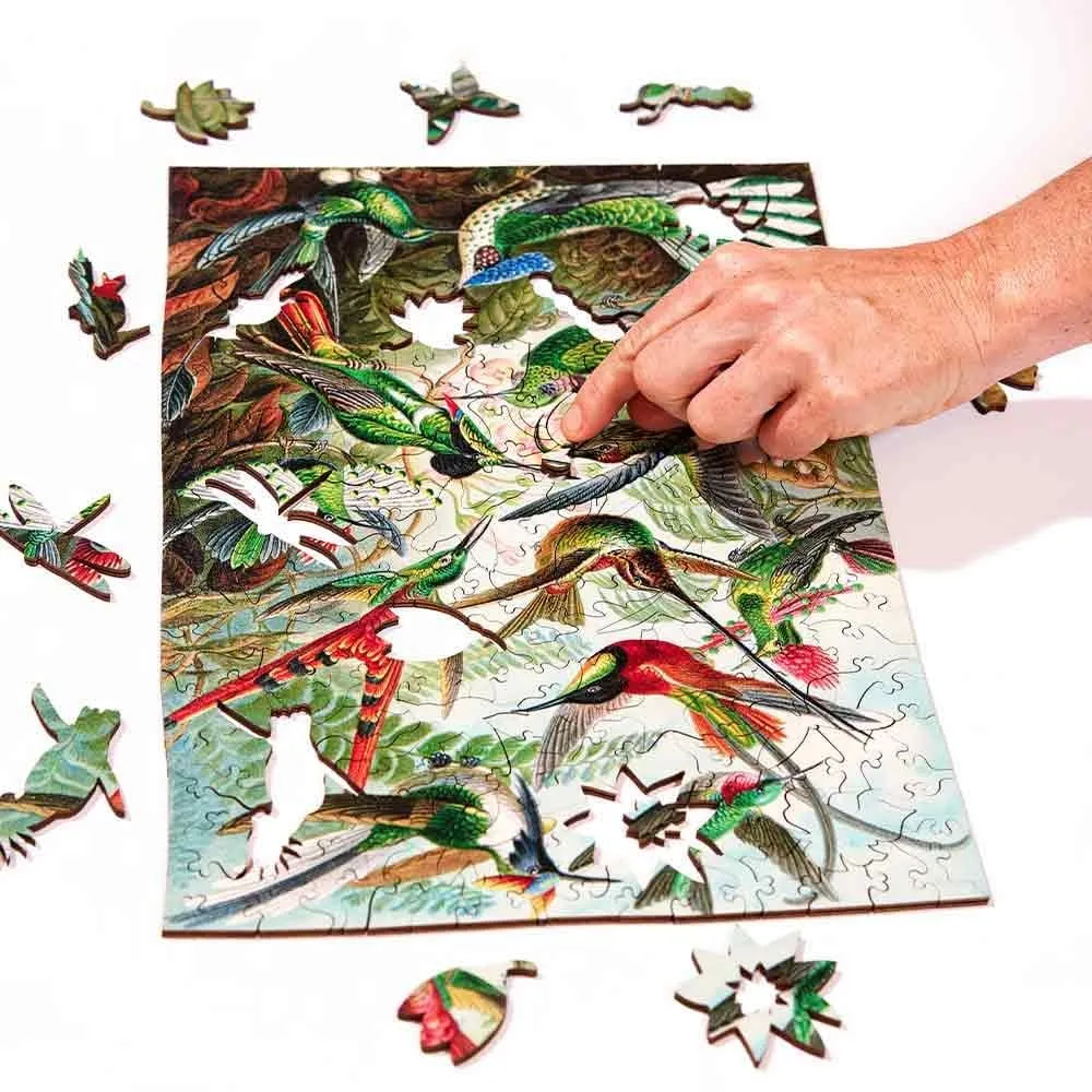 Twigg Jigsaw Puzzles Ernst Haeckel Hummingbirds - 228 Piece