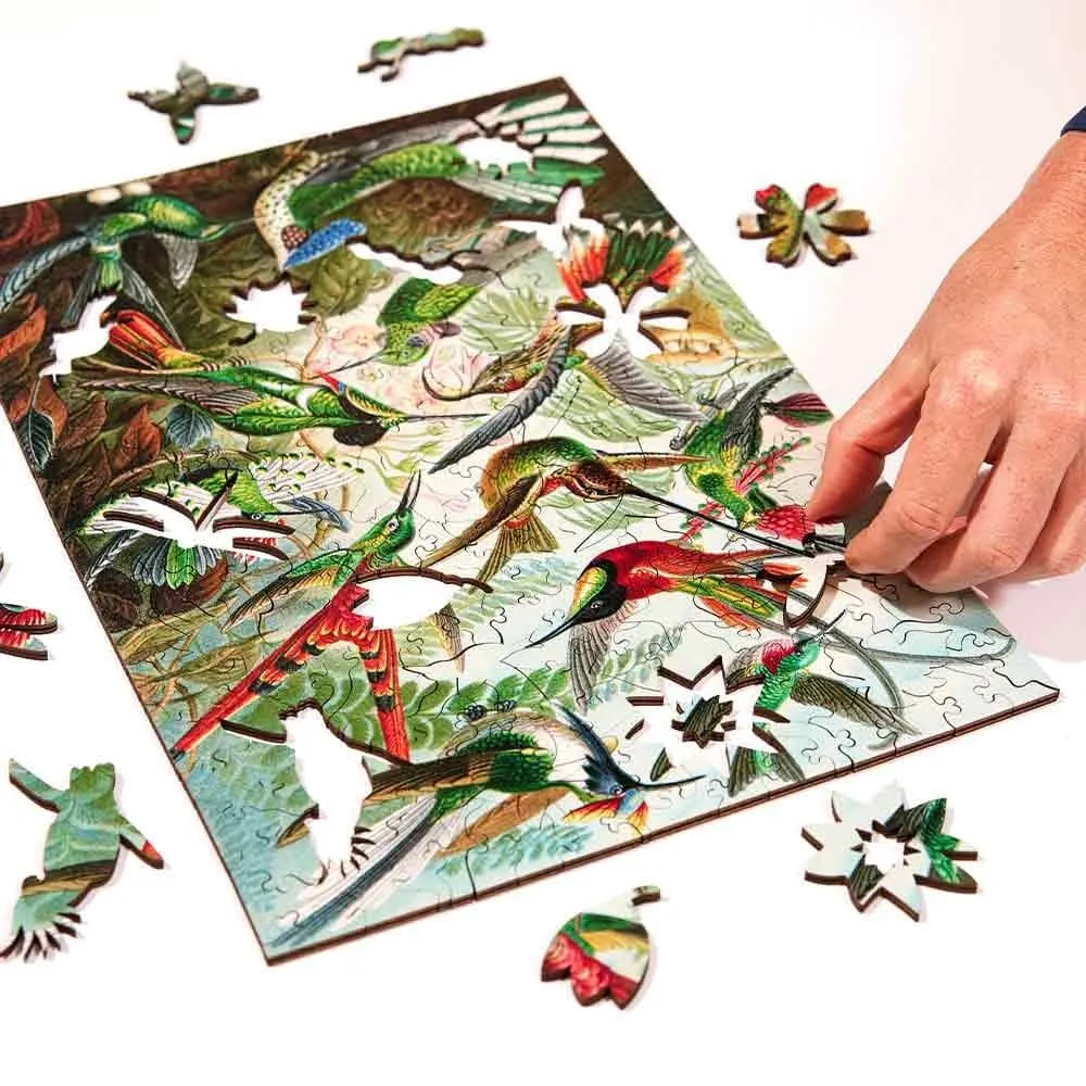 Twigg Jigsaw Puzzles Ernst Haeckel Hummingbirds - 228 Piece