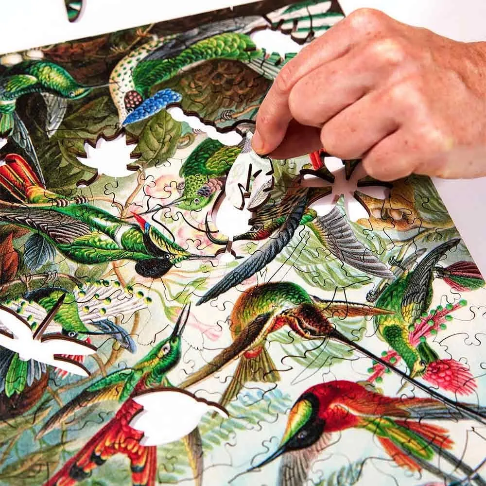 Twigg Jigsaw Puzzles Ernst Haeckel Hummingbirds - 228 Piece